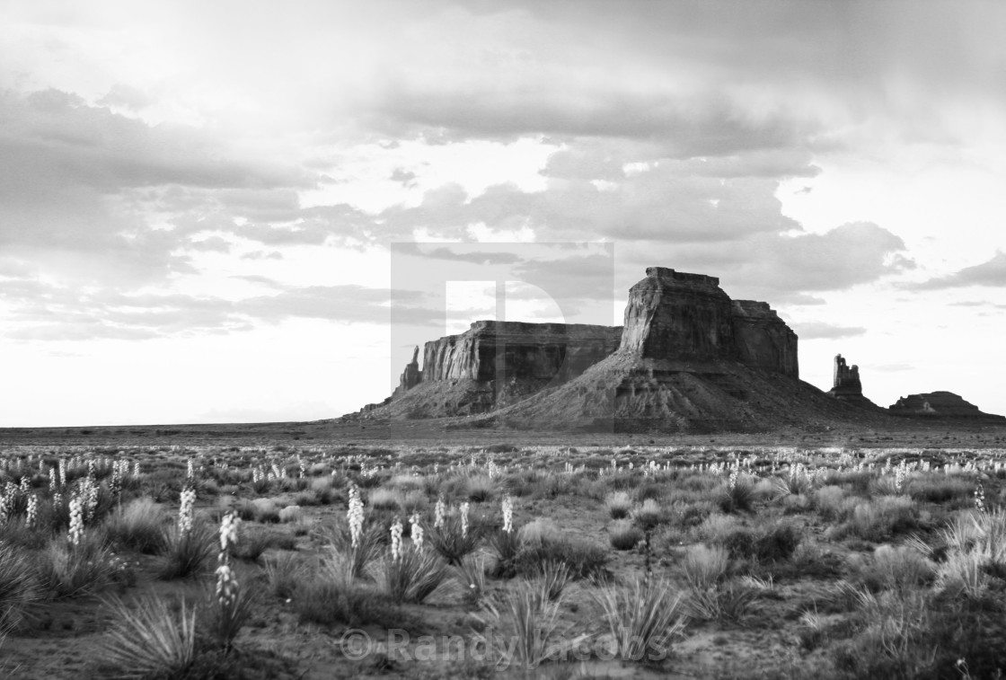 "Monument Valley" stock image