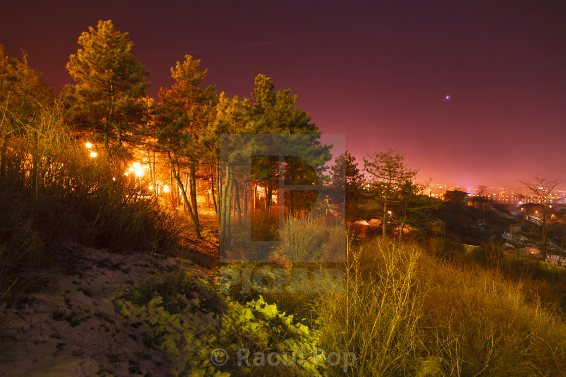 "A cold but beautiful winter night" by Raoul Pop - $6.14 "A cold but beautiful winter night" stock image