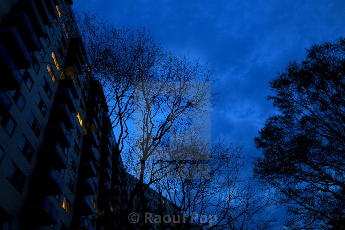 "Photograph by Raoul Pop" by Raoul Pop - $6.14 "Photograph by Raoul Pop" stock image