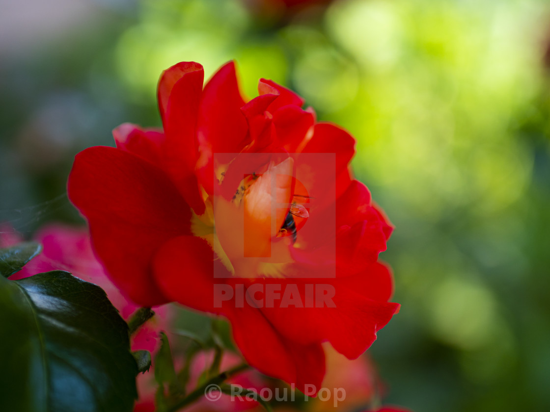 from £4.00