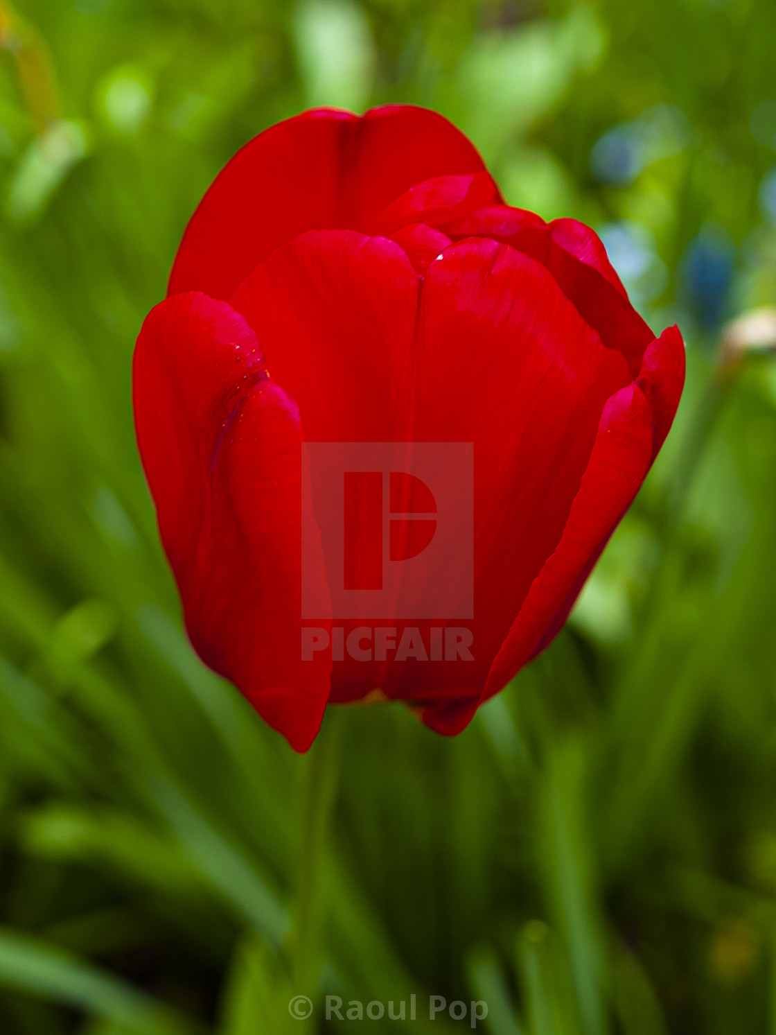 from £4.00