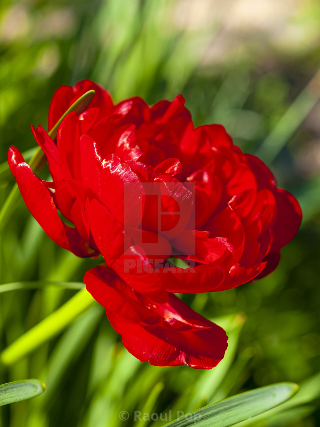 from £4.00