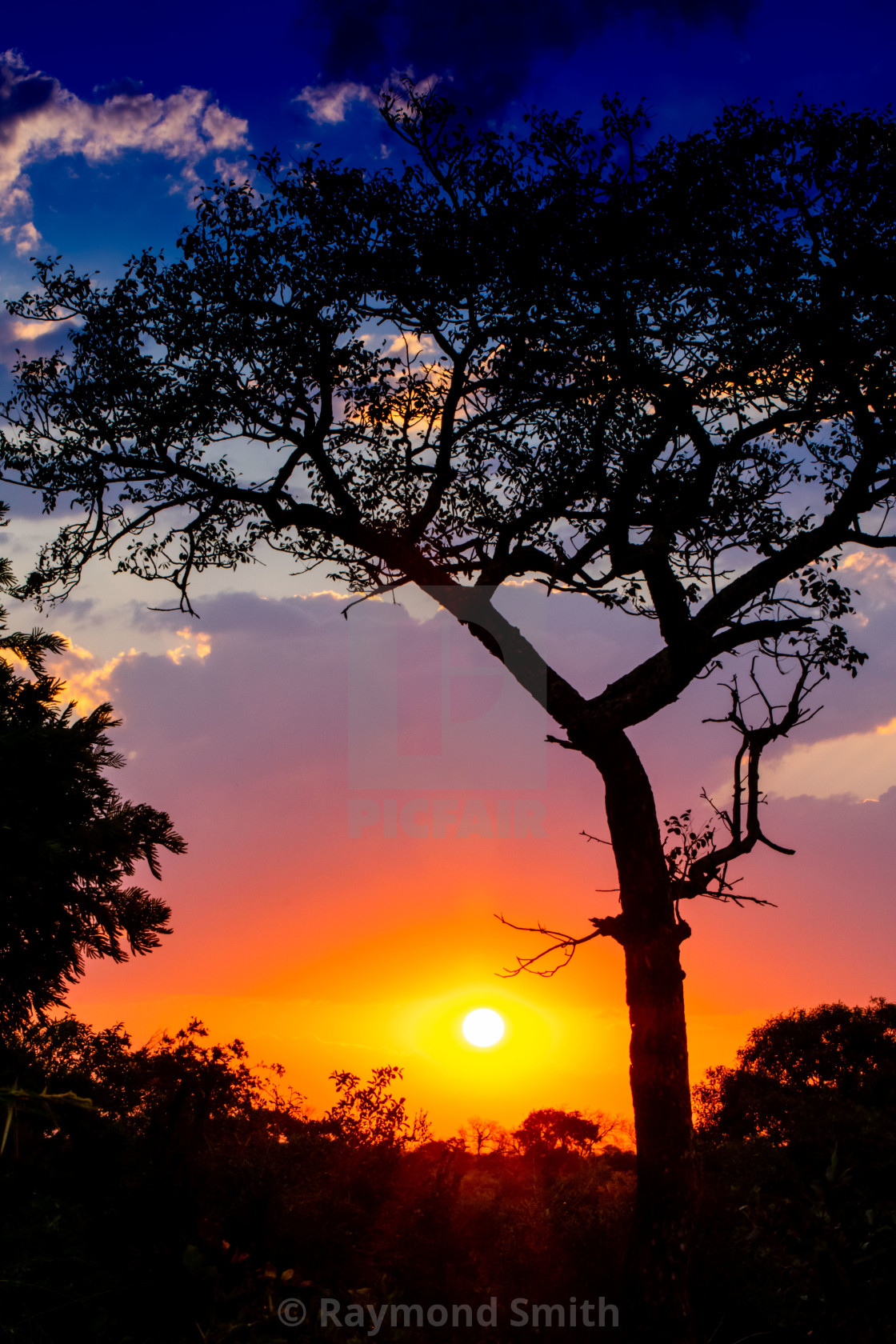 "Sunset in the Bushveld" stock image