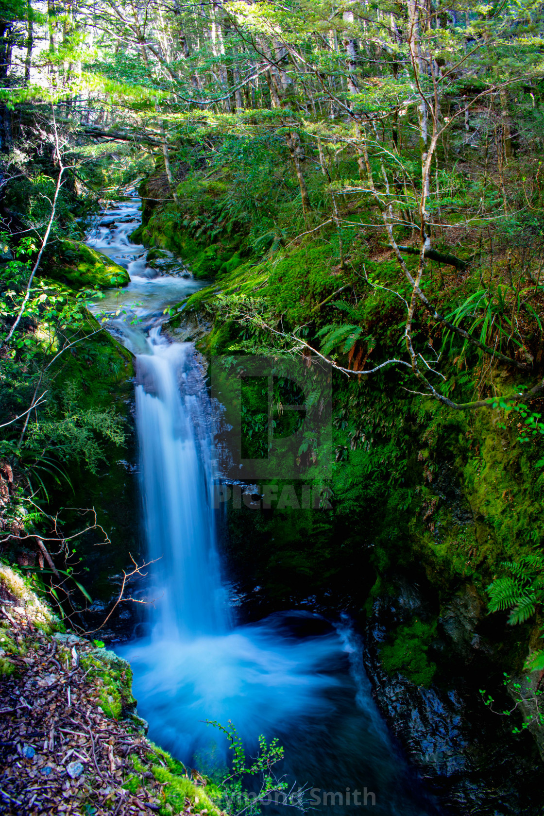 "Waterfall on Mt. Chrichton" stock image