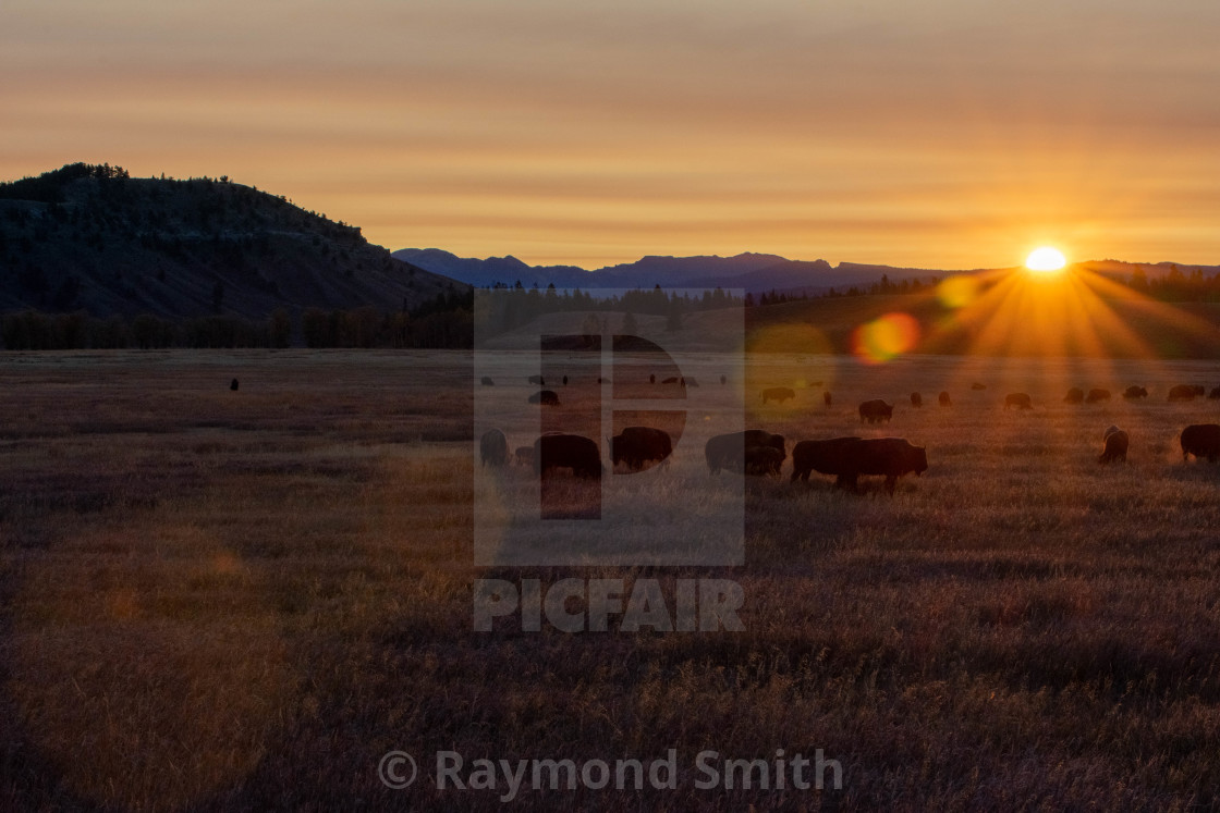 "Sunrise on the Plains" stock image