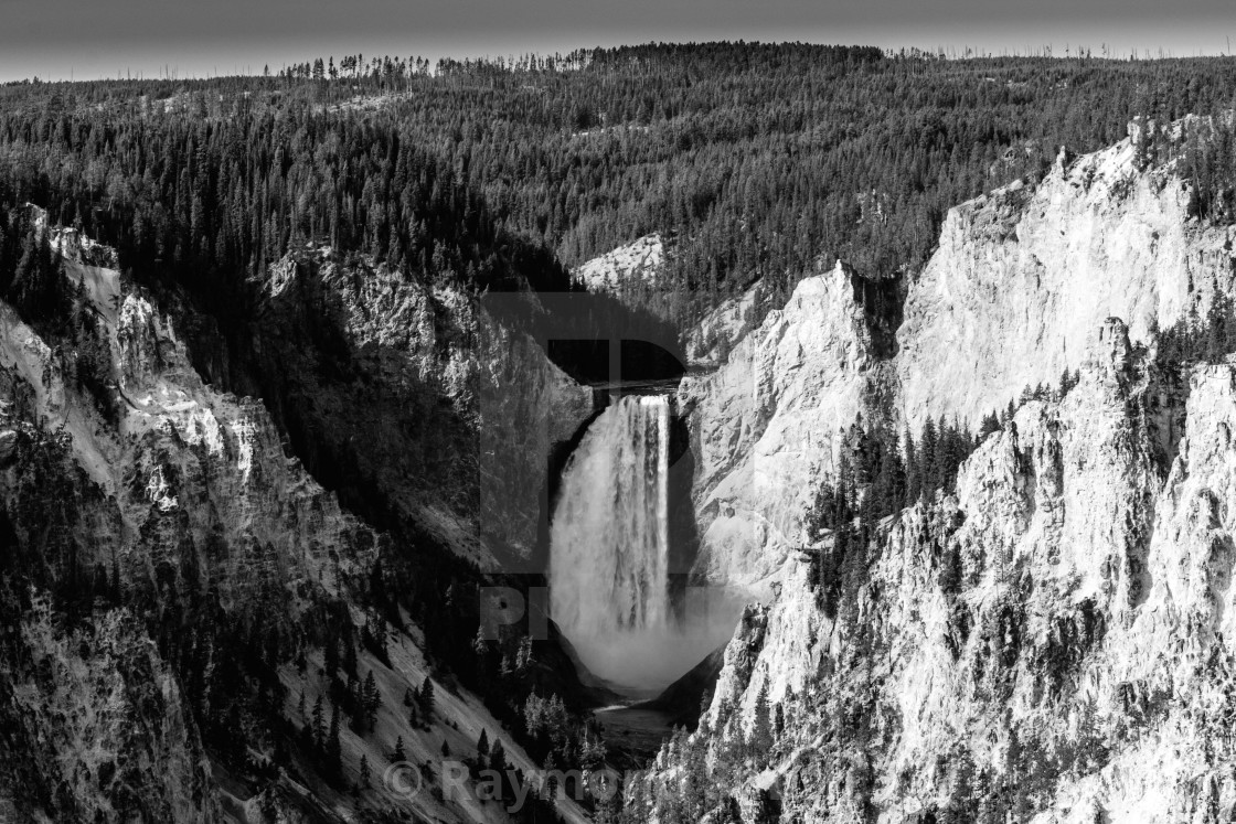 "Lower Falls of the Yellowstone" stock image