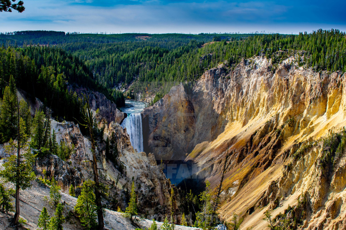 "Lower Falls of the Yellowstone" stock image