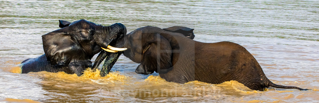 "Play Time" stock image