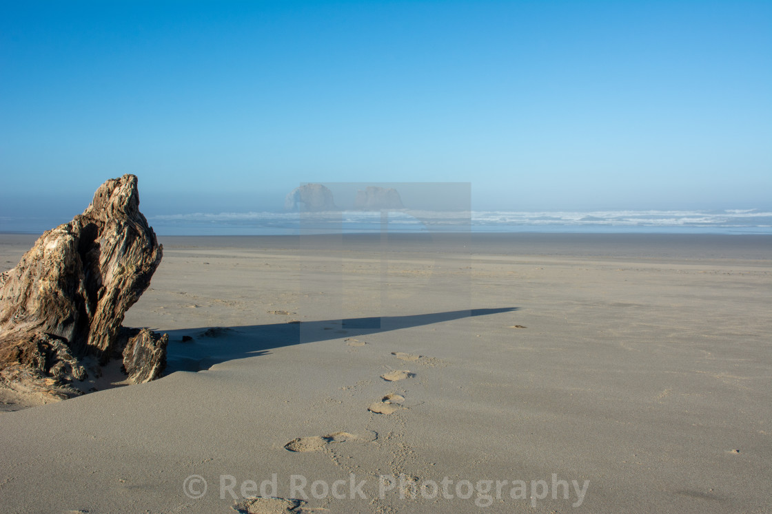 "Footprints on Sandy Beach with Driftwood" stock image