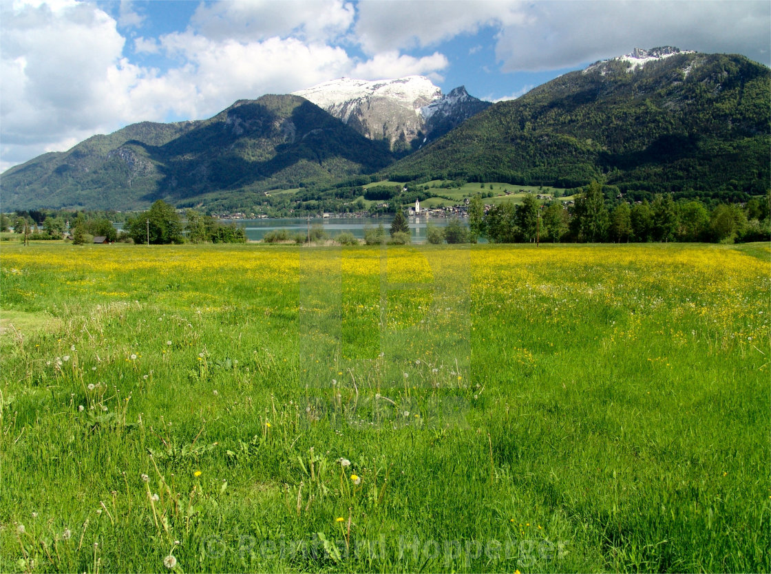 "Flower meadows in spring with view of St.Wolfgang in Austria" stock image