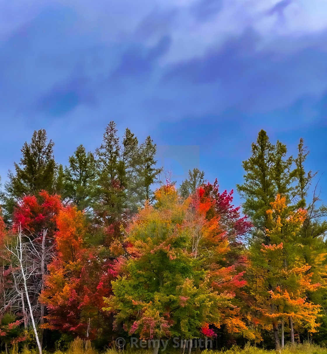 "Autumn Rainbow" stock image