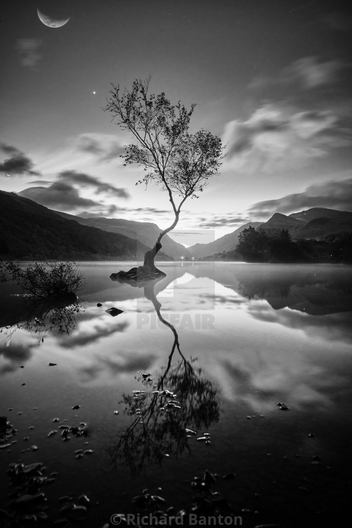 "The Wales Lone Tree" stock image