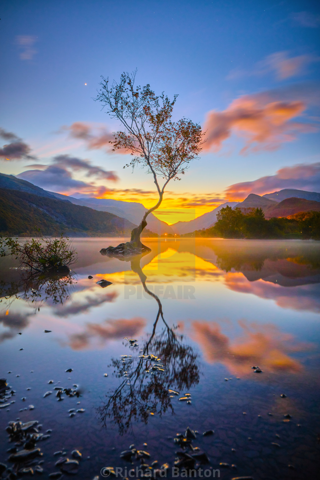 "The Lone tree" stock image