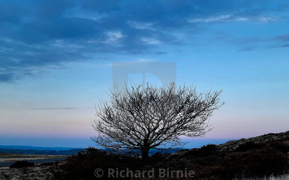 "Baildon moor in blue" by Richard Birnie - £12.40 "Baildon moor in blue" stock image