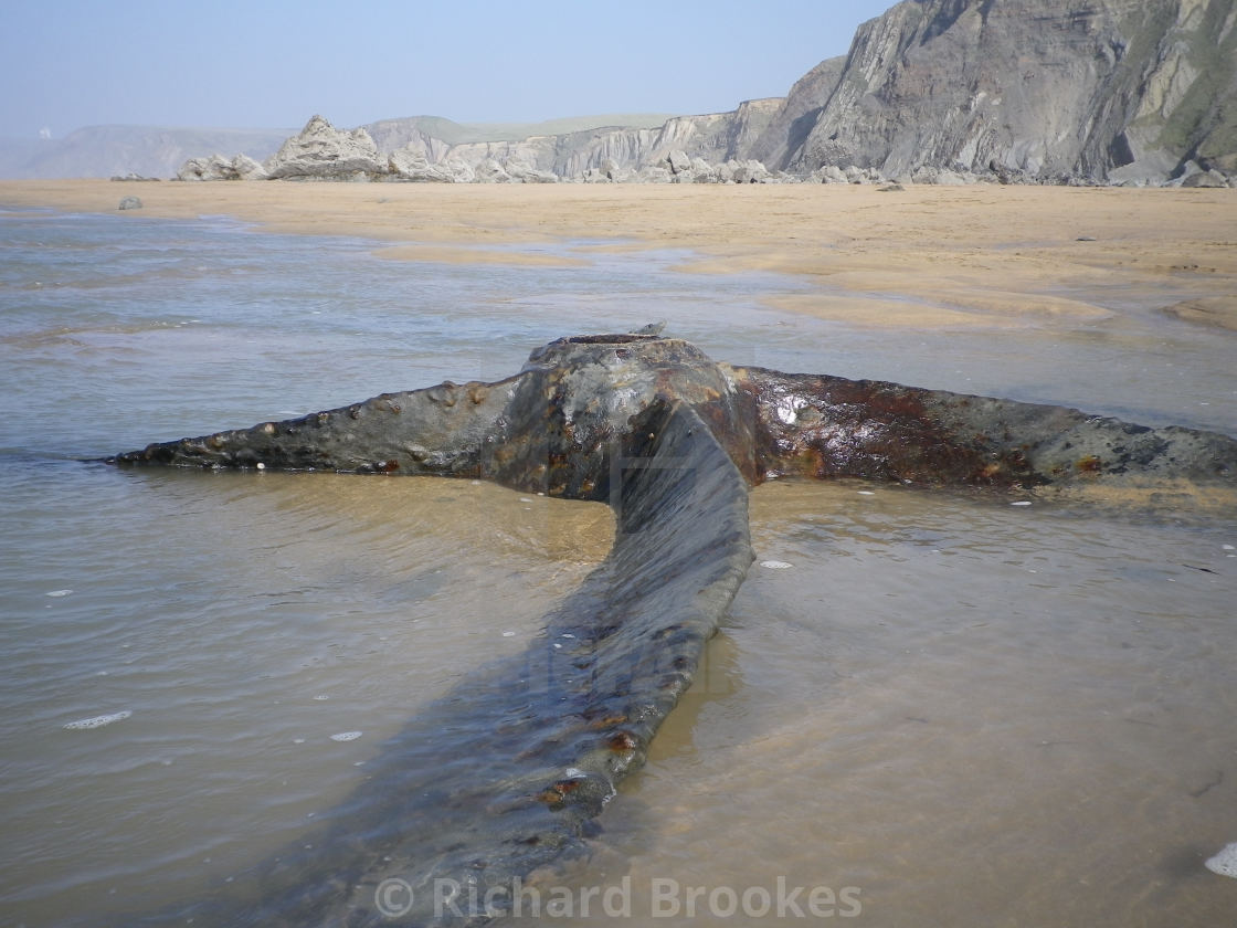 "SCREW PROPELLER OF 1917 SHIPWRECK OF SS BELEM CORNWALL" by Richard Brookes - $18.08 "SCREW PROPELLER OF 1917 SHIPWRECK OF SS BELEM CORNWALL" stock image