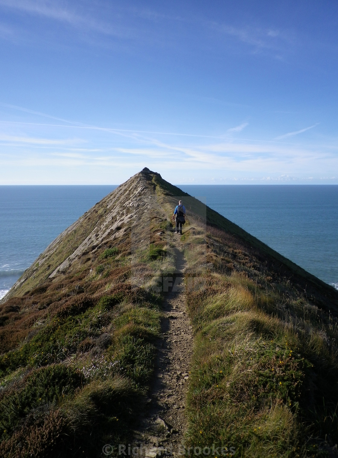 "HIGHER SHARPNOSE POINT MORWENSTOW CORNWALL" by Richard Brookes - $18.08 "HIGHER SHARPNOSE POINT MORWENSTOW CORNWALL" stock image