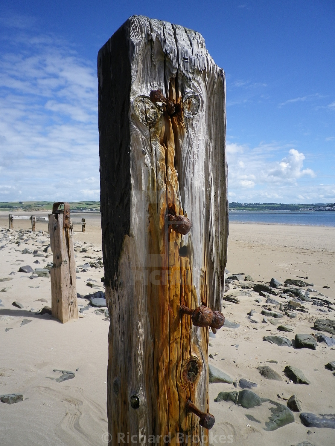 "WEATHERED WOODEN GROYNE POSTS AT CROW POINT BEACH DEVON" by Richard Brookes - $18.07 "WEATHERED WOODEN GROYNE POSTS AT CROW POINT BEACH DEVON" stock image