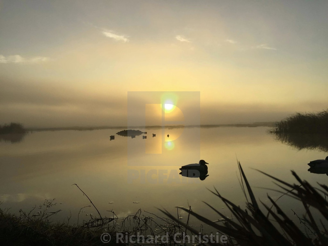 "Sunrise in the Fog" stock image