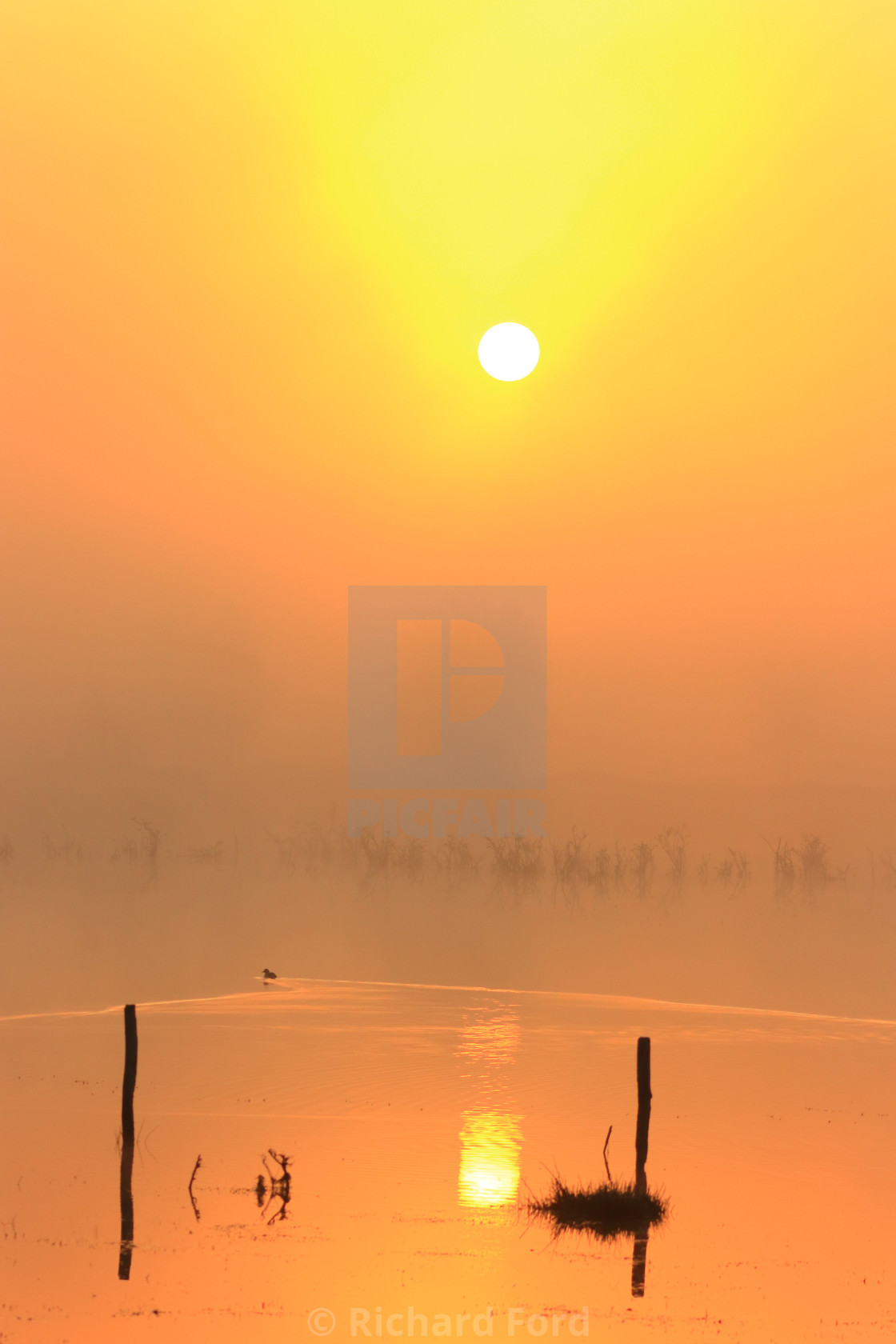 "Misty sunrise over water" stock image