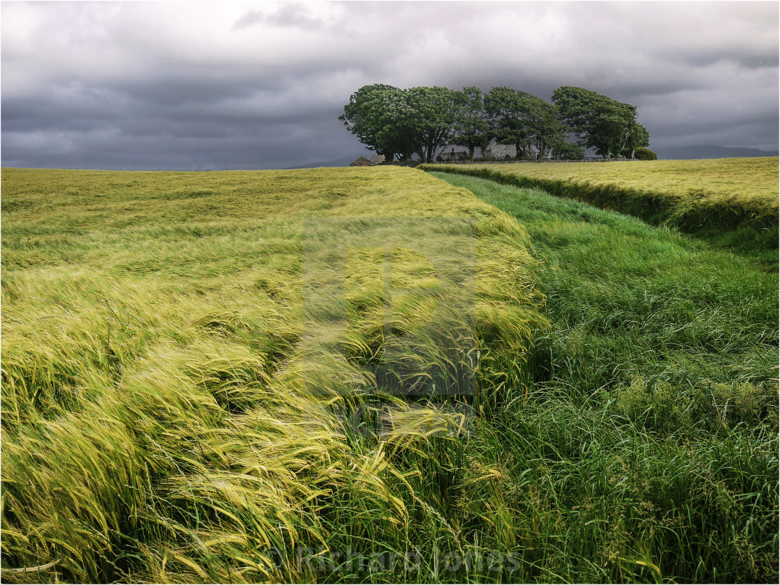 "Church Lane" stock image