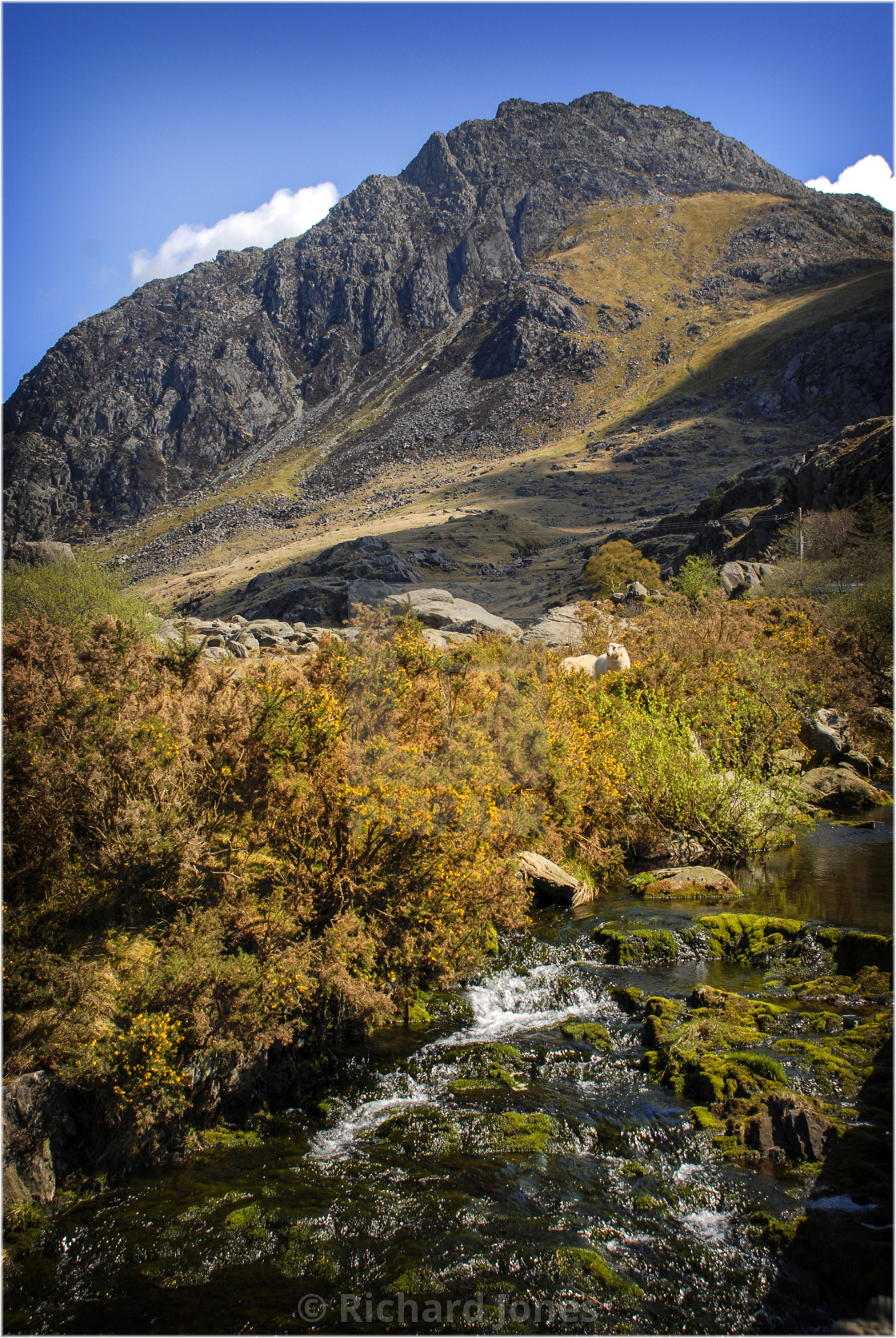 "Tryfan" stock image