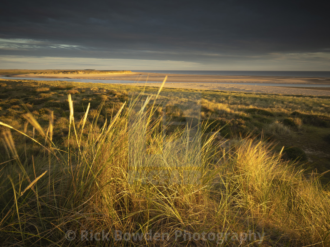 "Light on the Dunes" stock image