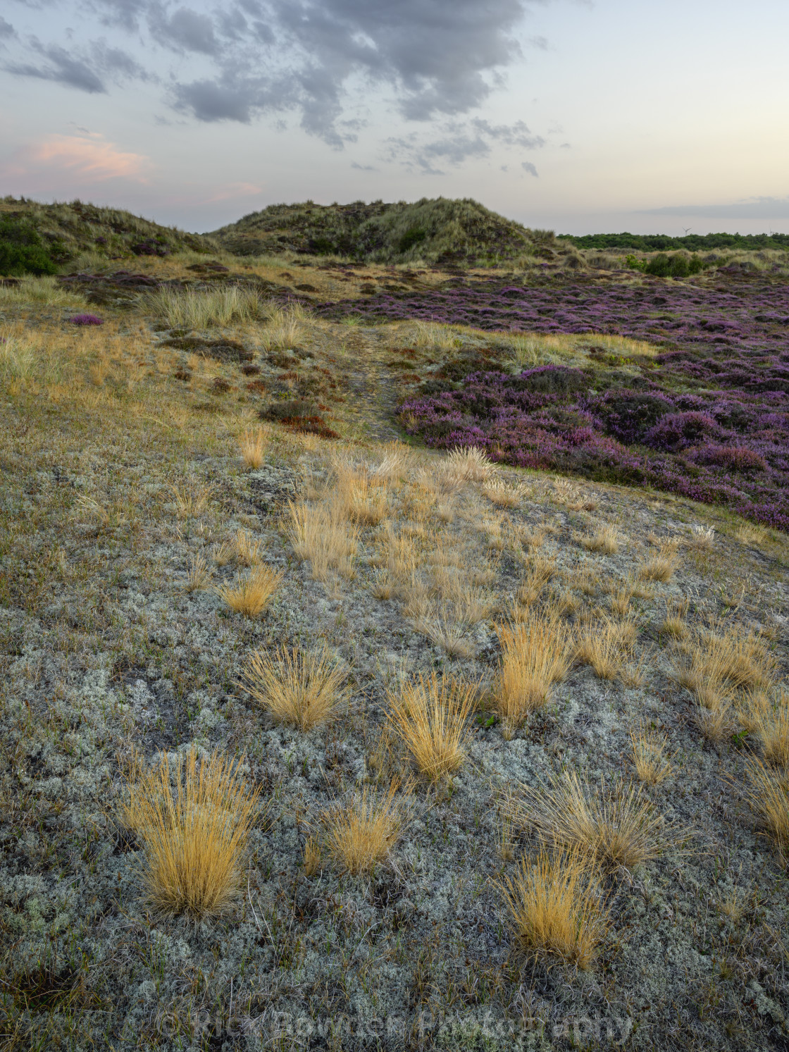 "Winterton Tufts" stock image