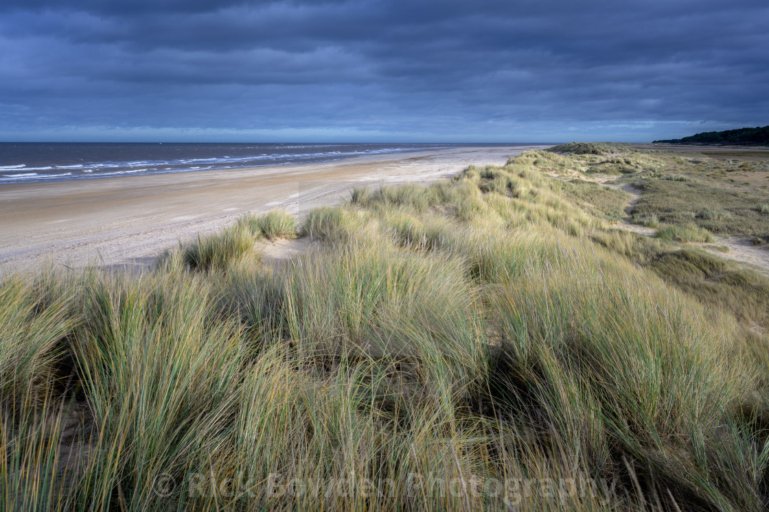 "Holkham Dunes" stock image