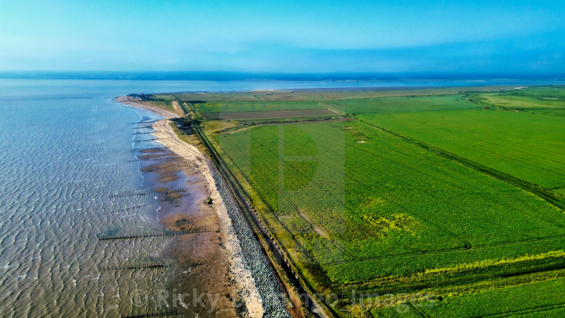 "Shellness Beach looking South from 102m" stock image