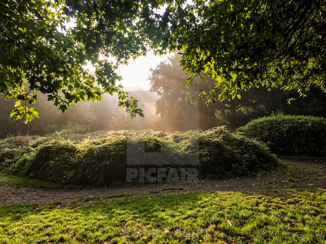 "Calderstones Park Sunrise" by Rob Gough - $12.10 "Calderstones Park Sunrise" stock image