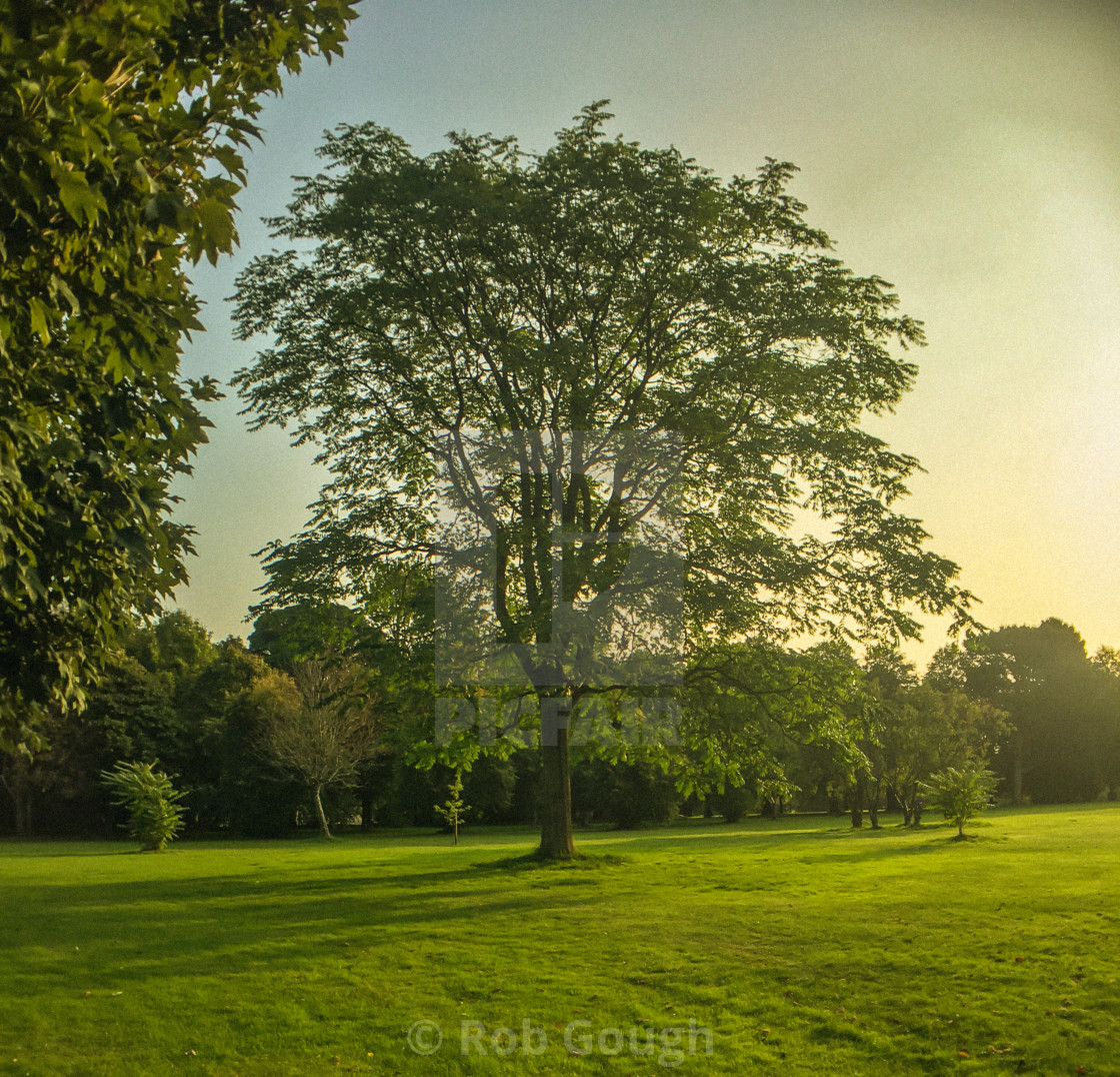"Calderstones Park Sunrise" by Rob Gough - $12.10 "Calderstones Park Sunrise" stock image