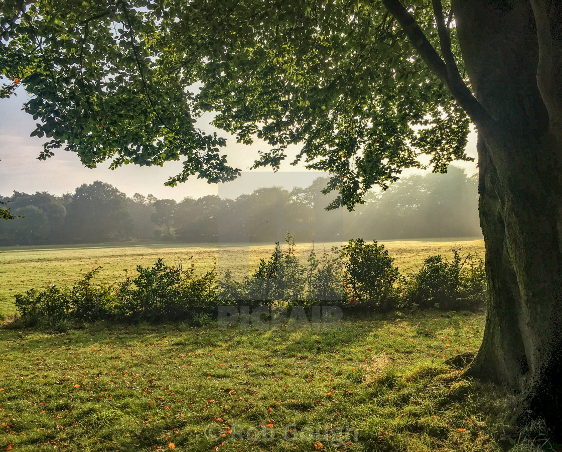 "Calderstones Park Sunrise" by Rob Gough - $12.10 "Calderstones Park Sunrise" stock image