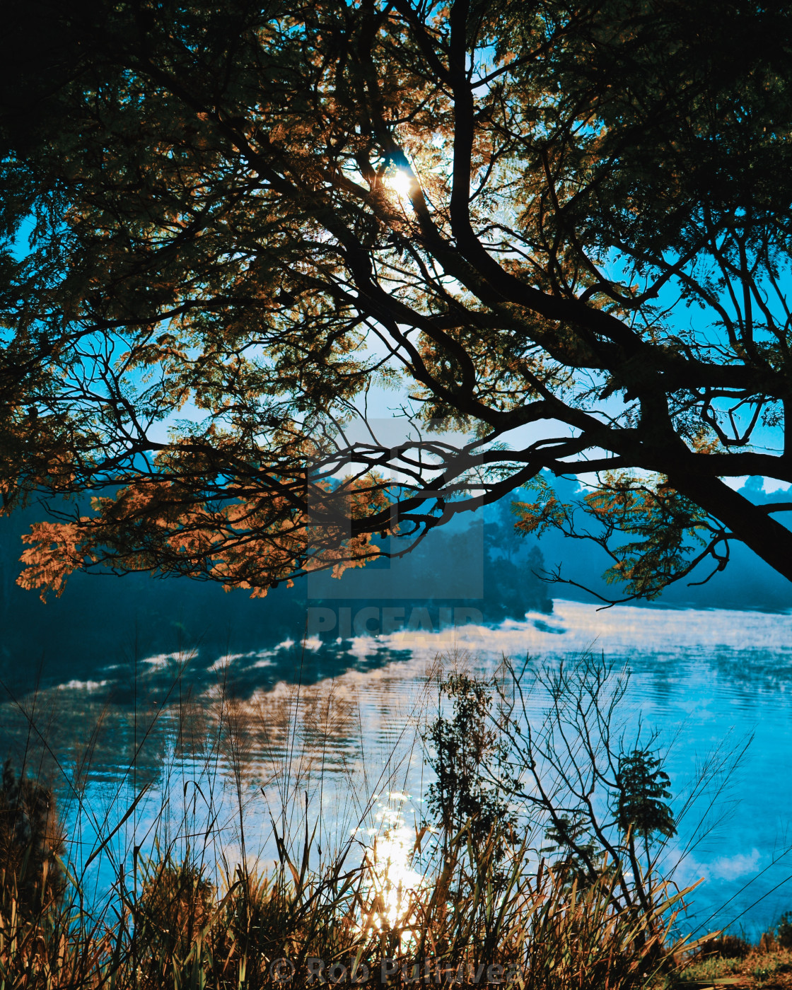 "Finding the Winter Sun" by Rob Puliuvea - $10.37 "Finding the Winter Sun" stock image