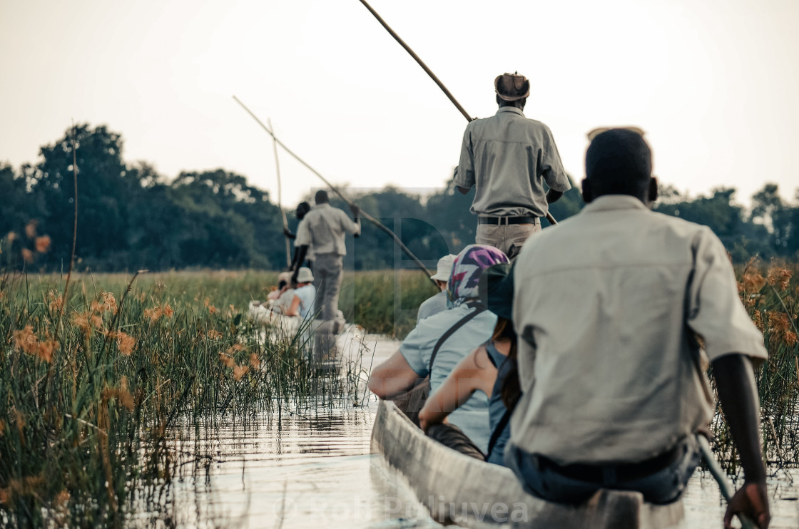 "Mokoro Delta" by Rob Puliuvea - $10.37 "Mokoro Delta" stock image