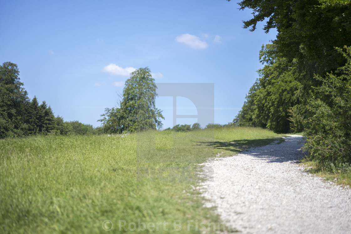 "protected area Ochsenheide" stock image