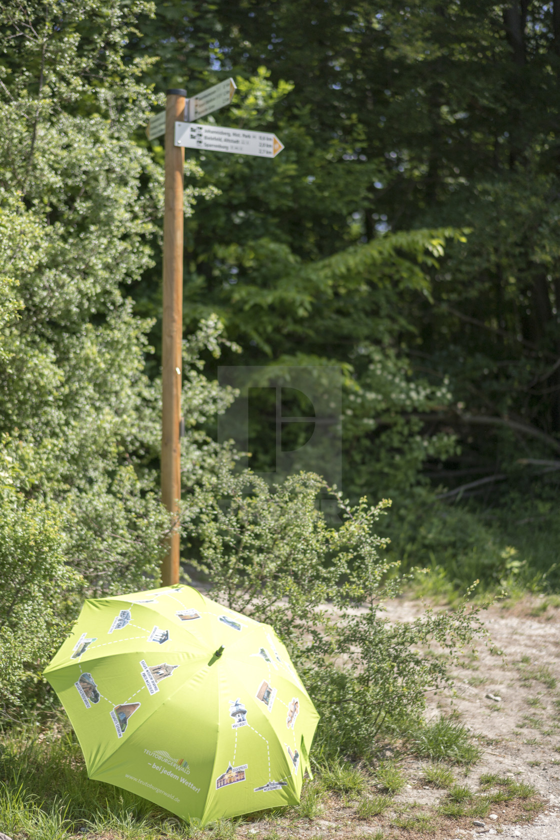 "Teutoburger Wald Forest hiking trail signposting" stock image