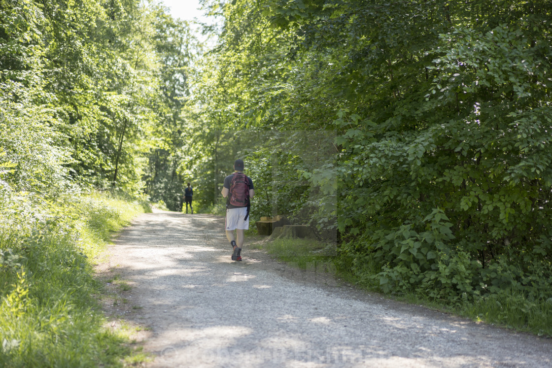 "Nordic Walker in Teutoburger Wald Forest" stock image