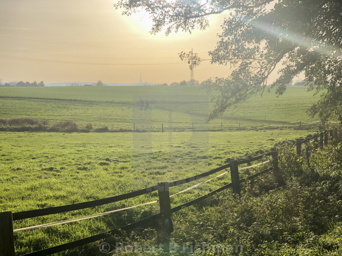 "meadow in the evening light" stock image