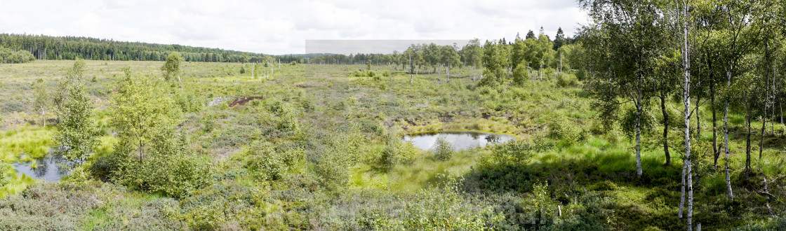 "Panoramic View of Meckelnbruch Moor restored to natural state" stock image