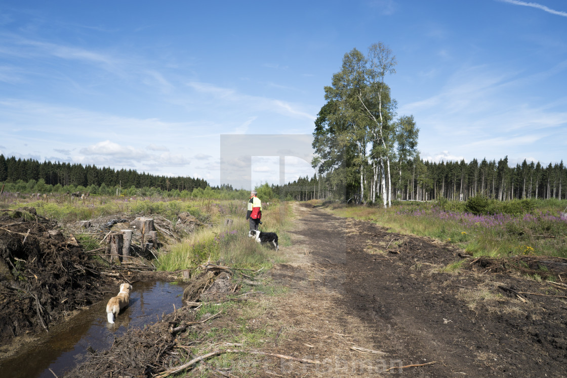 "restoring a moor" stock image