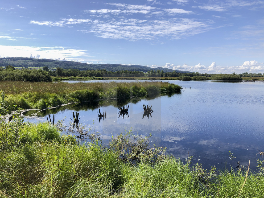 "Great Peat Moor" stock image