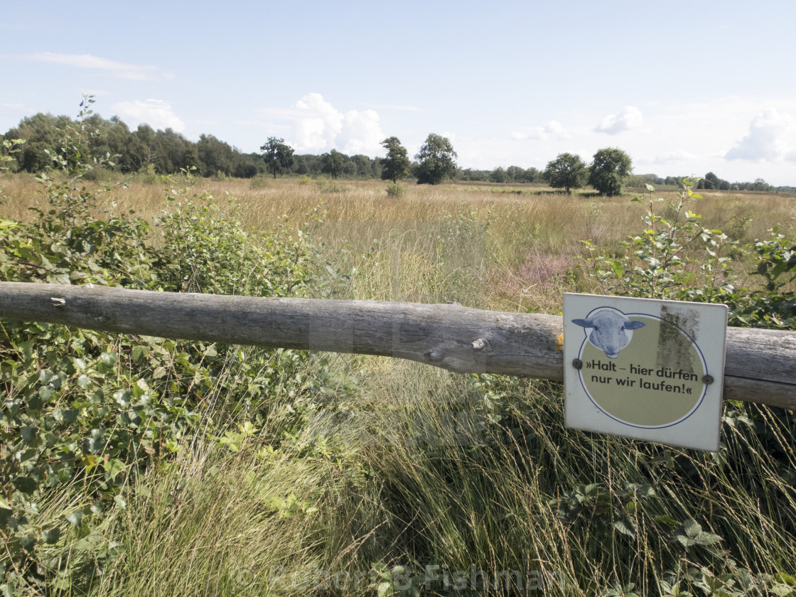 "Great Peat Moor" stock image