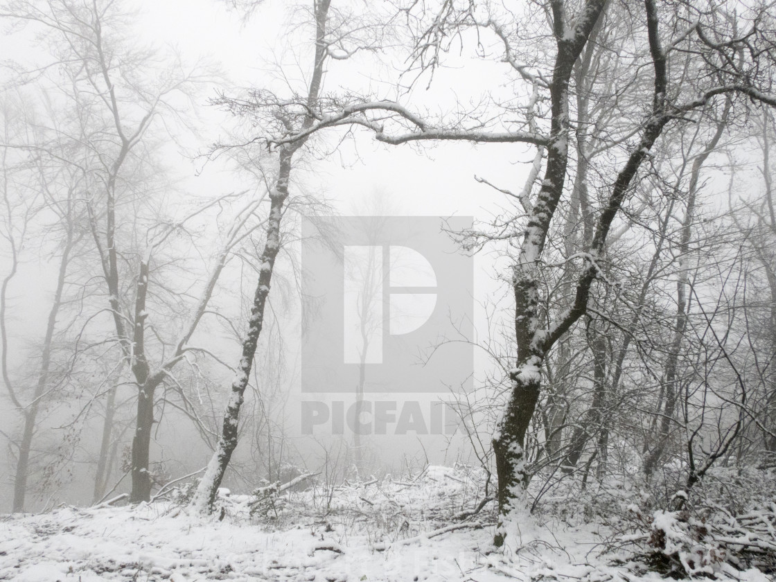 "foggy winter landscape" stock image