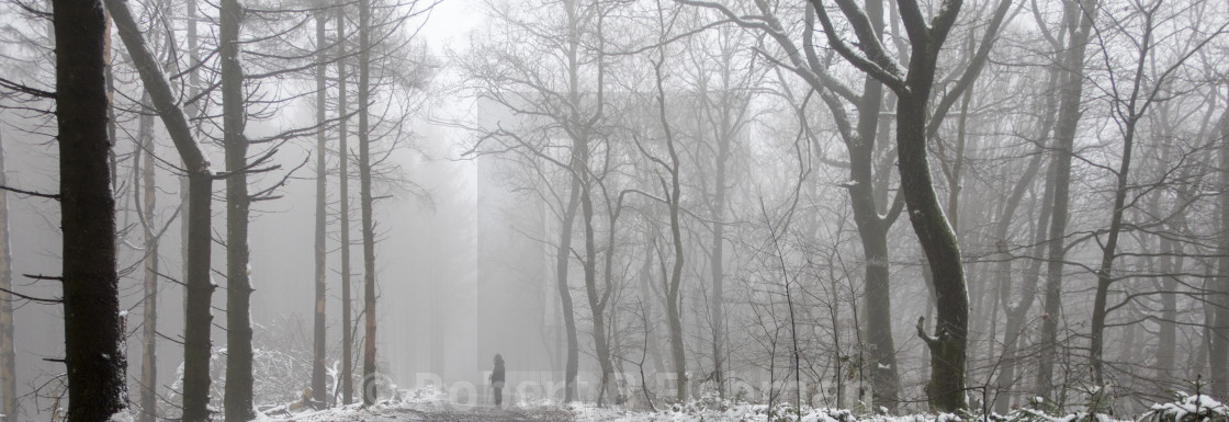 "foggy winter landscape" stock image