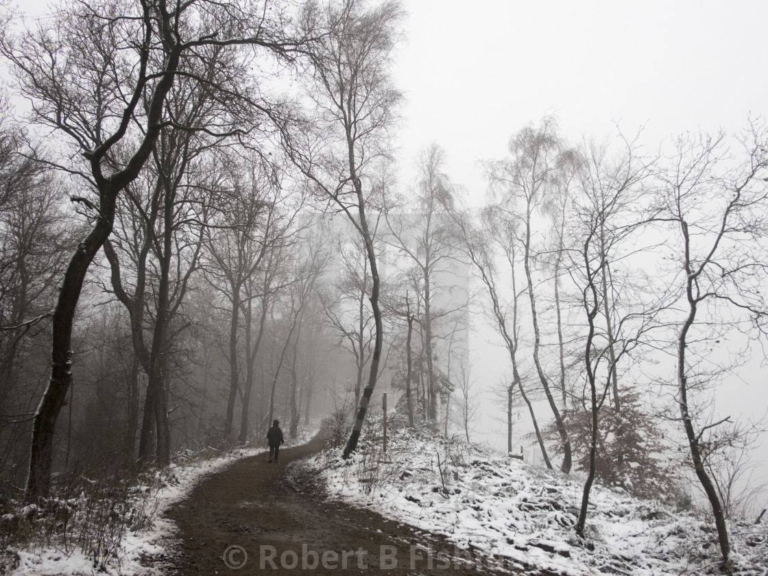 "foggy winter landscape" stock image