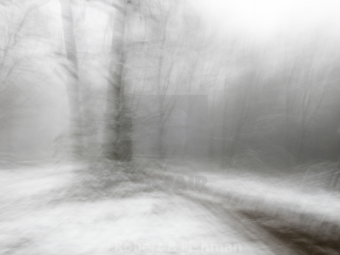 "blurry winter landscape" stock image