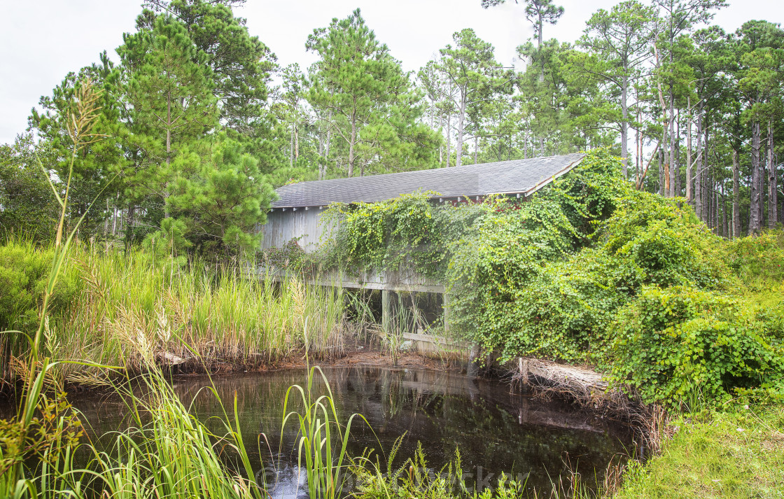 "Down East Boat House Along NC Highway 12" stock image