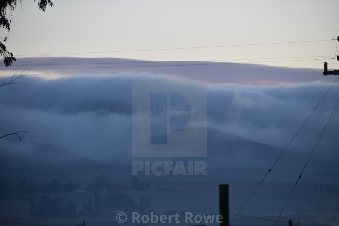 "Foggy morning in Nipomo" stock image