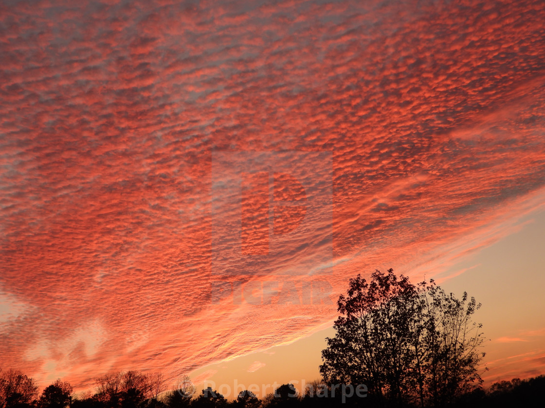 "Spectacular South Carolina Sunset" by Robert Sharpe - $12.42 "Spectacular South Carolina Sunset" stock image