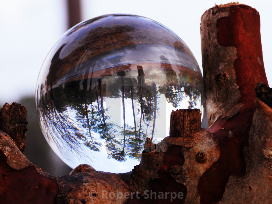 "Crystal Ball with Purple Tint" by Robert Sharpe - $12.42 "Crystal Ball with Purple Tint" stock image